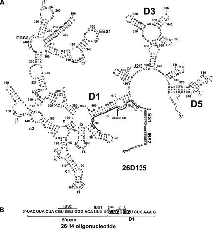 FIGURE 1.