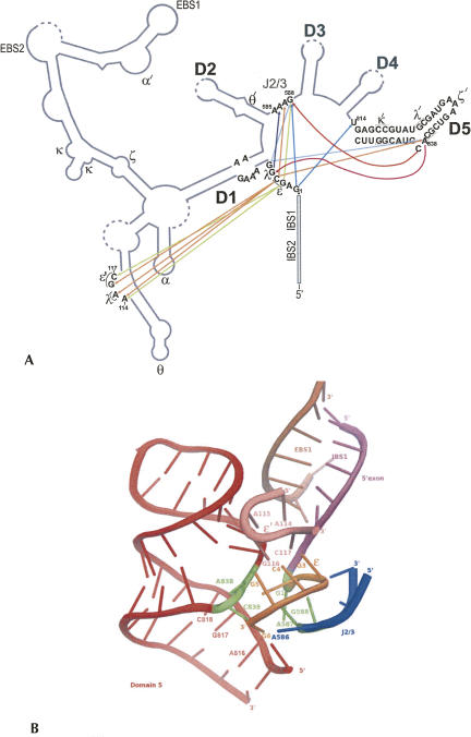 FIGURE 8.