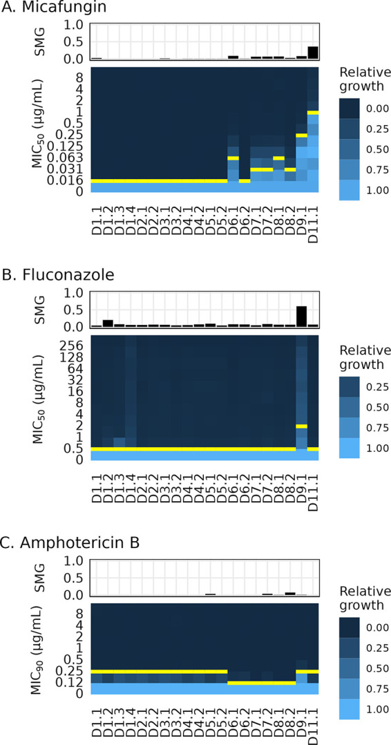 FIG 2