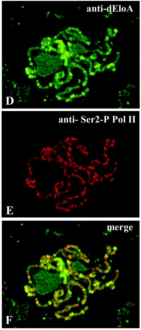 FIG.5.