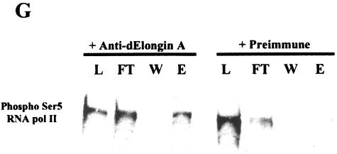 FIG.5.