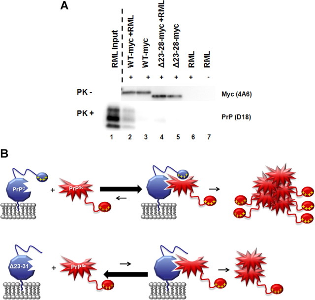 Figure 11.