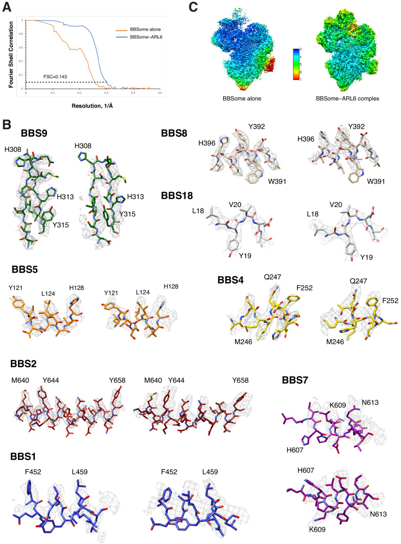 Figure 1—figure supplement 2.