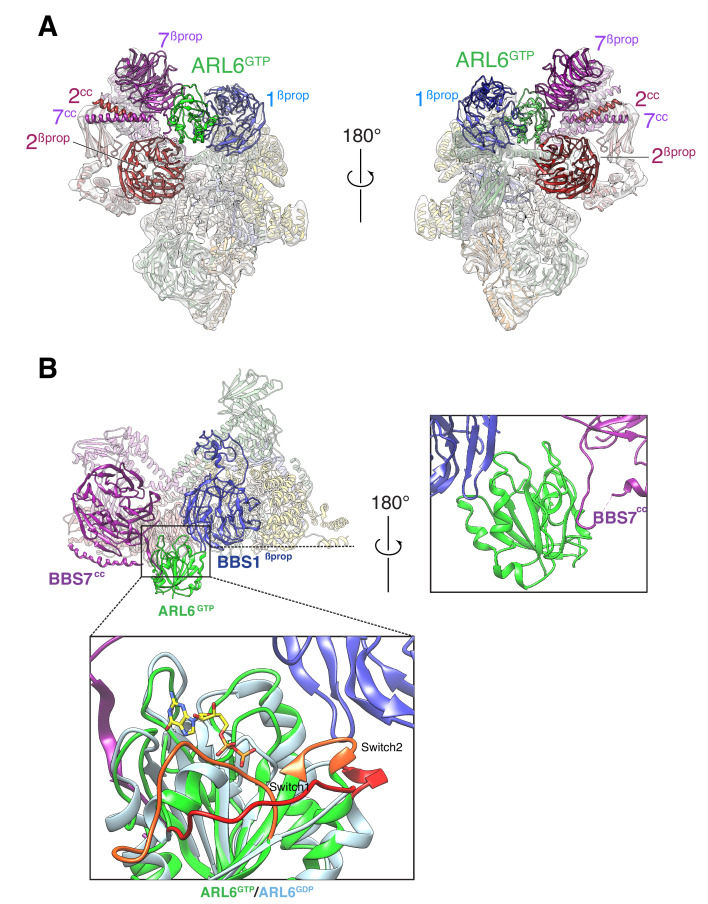 Figure 2.