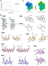 Figure 1—figure supplement 2.