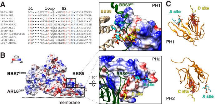 Figure 6.