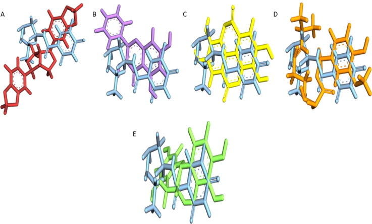 Figure 1.