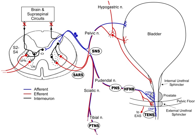 Figure 2 