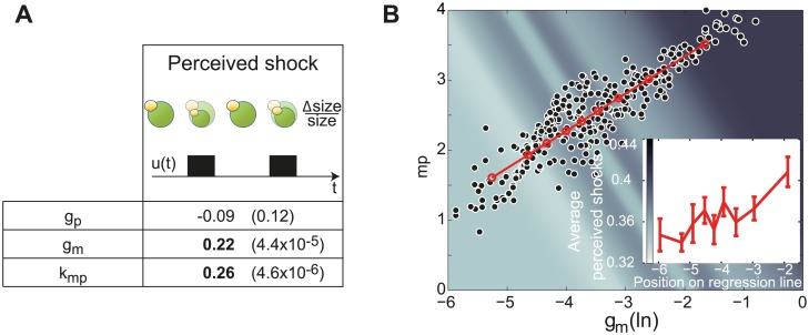 Fig 5