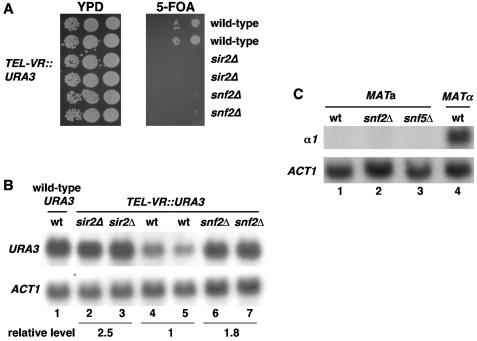 FIG. 7.