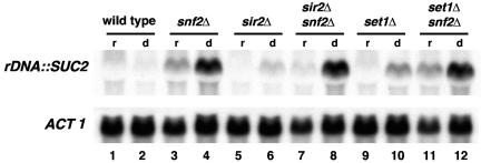 FIG. 5.