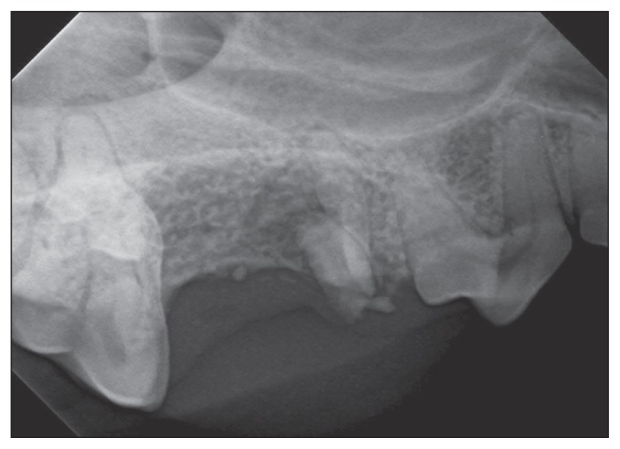 Figure 7