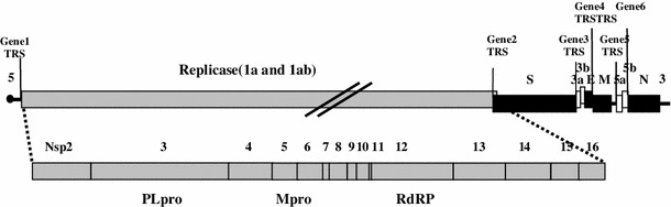 Fig. 1