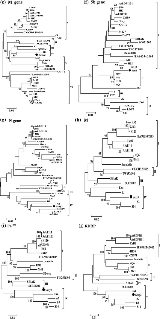 Fig. 2