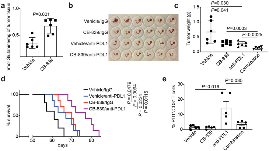 Fig. 6: