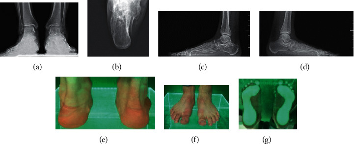 Figure 6