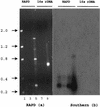 FIG. 5