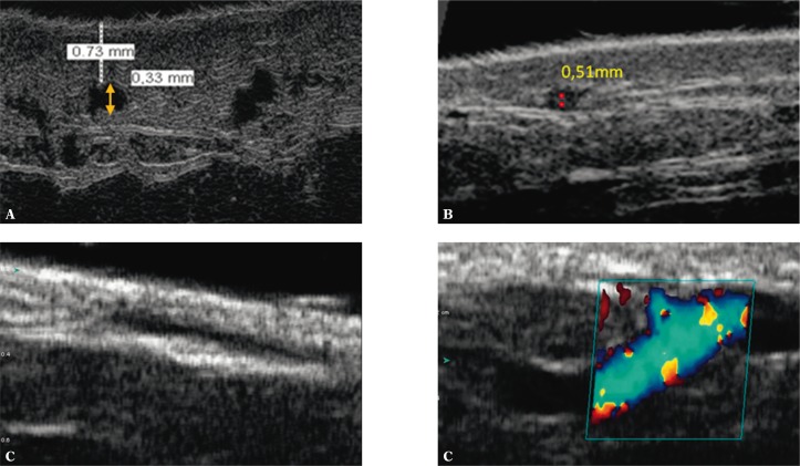 Fig. 9