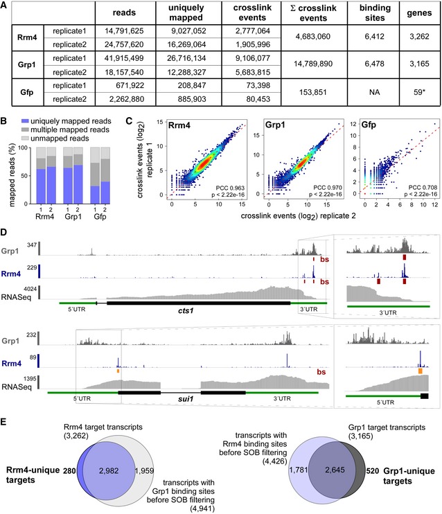 Figure EV3