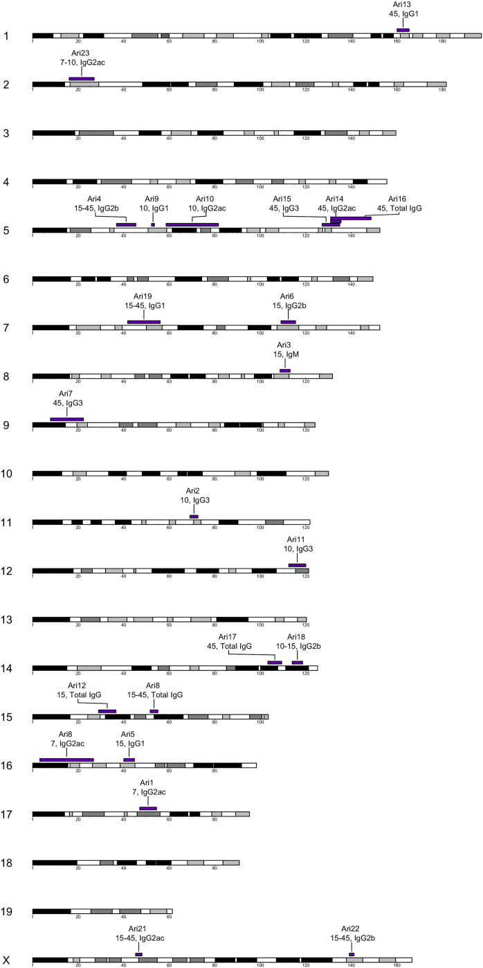 Figure 2