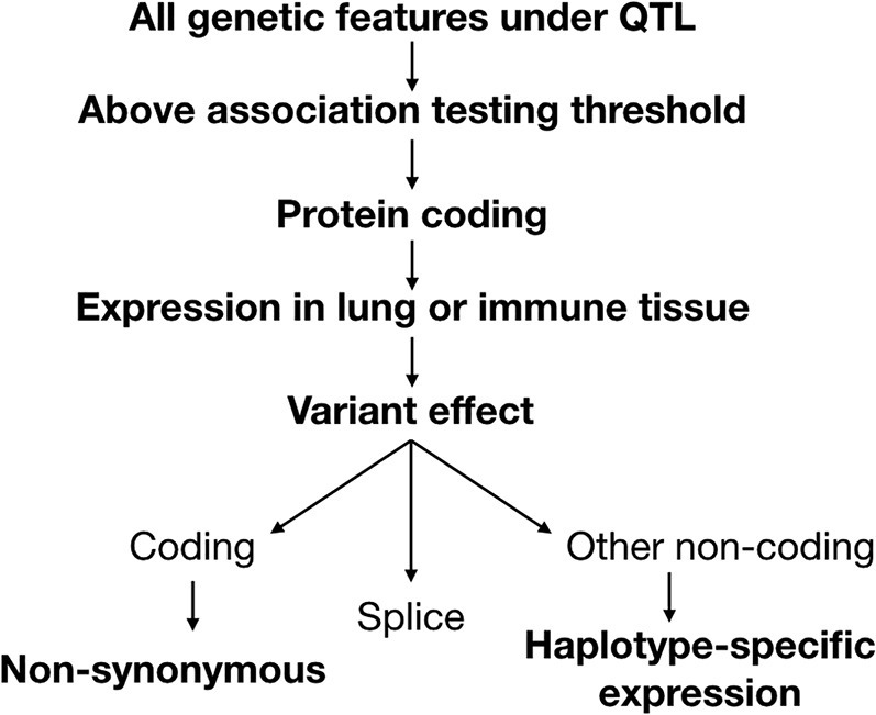 Figure 5