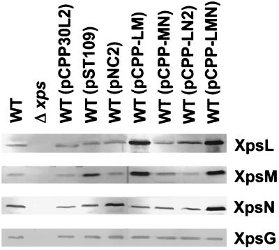 FIG. 5