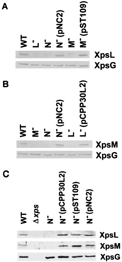 FIG. 4