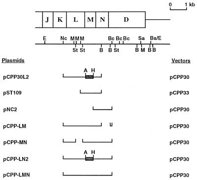 FIG. 1