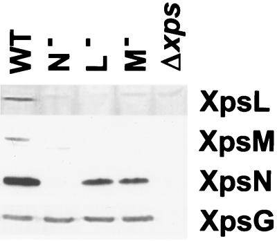 FIG. 3