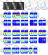 Extended Data Fig. 3