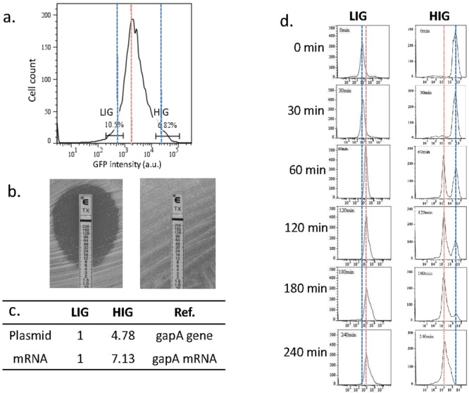 FIG 2 