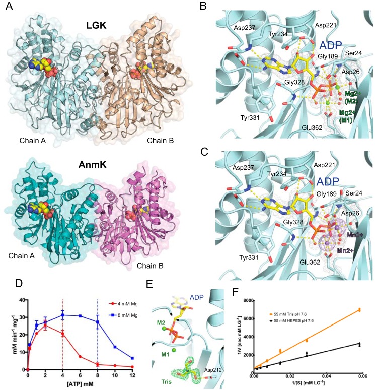 FIGURE 2.