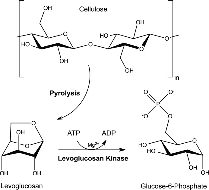 FIGURE 1.