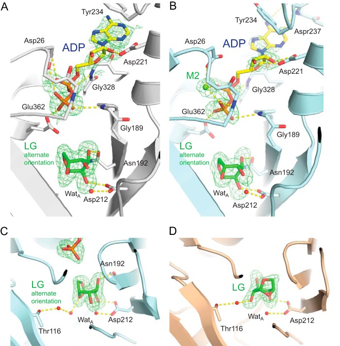 FIGURE 4.