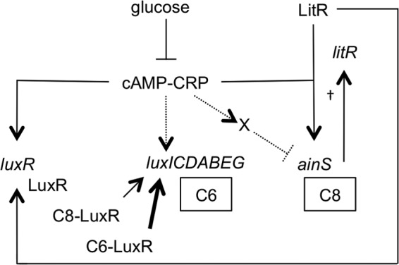 Fig 9