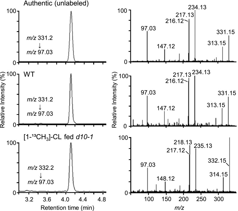 Fig. 3.