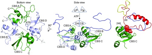 Fig. 6.