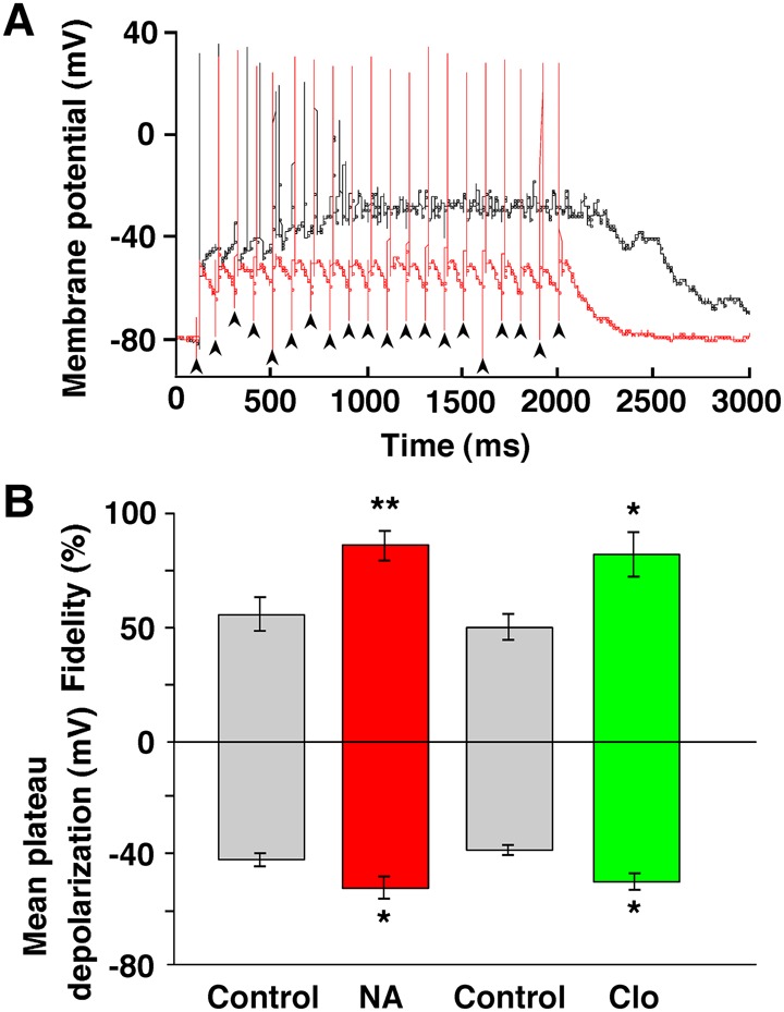 Figure 6.