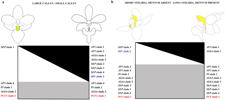 Fig. 12