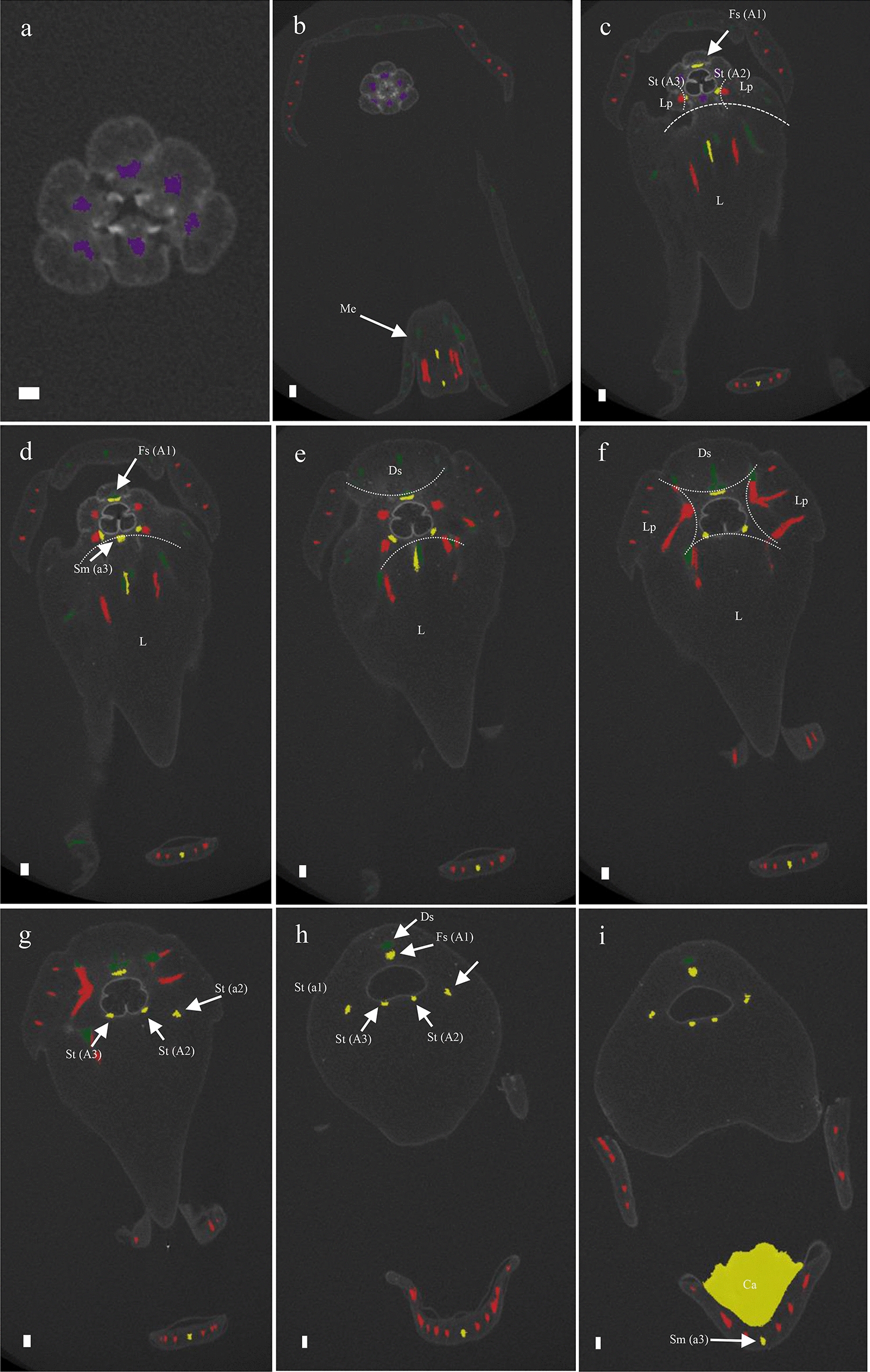 Fig. 11