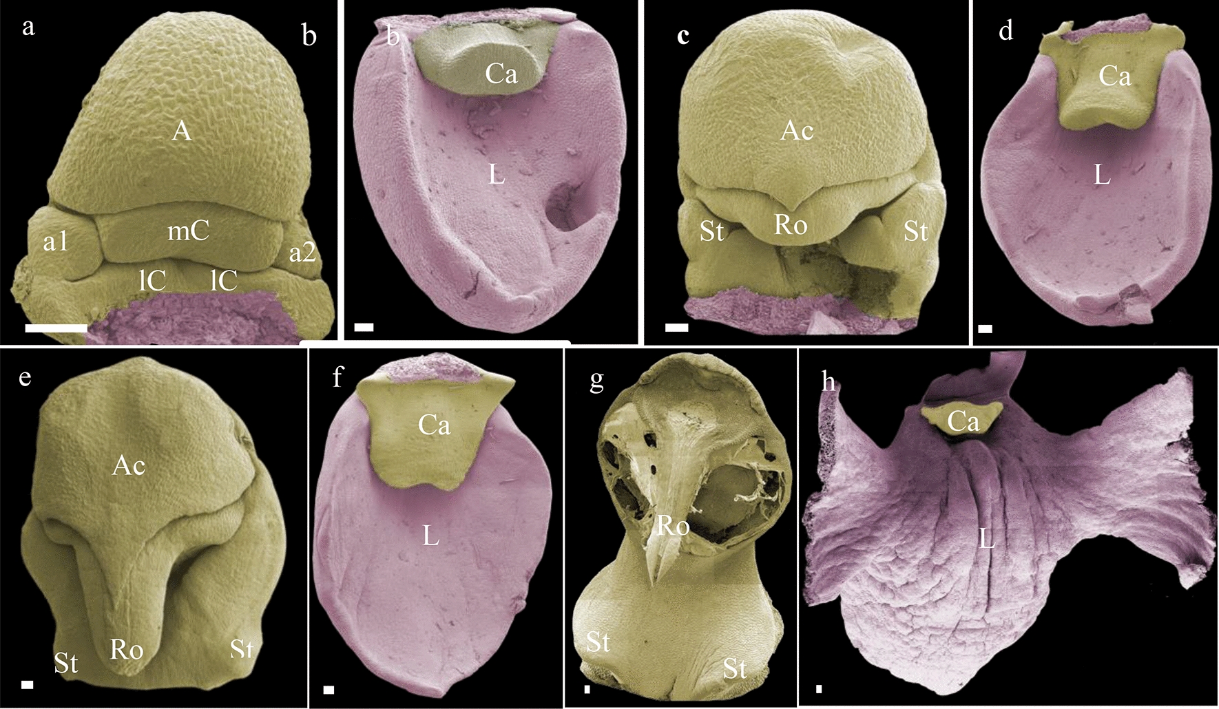 Fig. 5