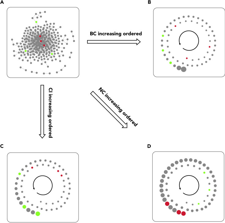 Figure 3