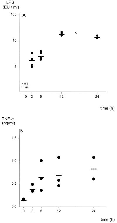 FIG. 6