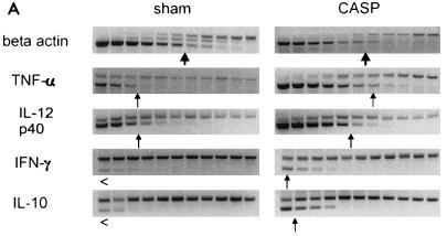 FIG. 7