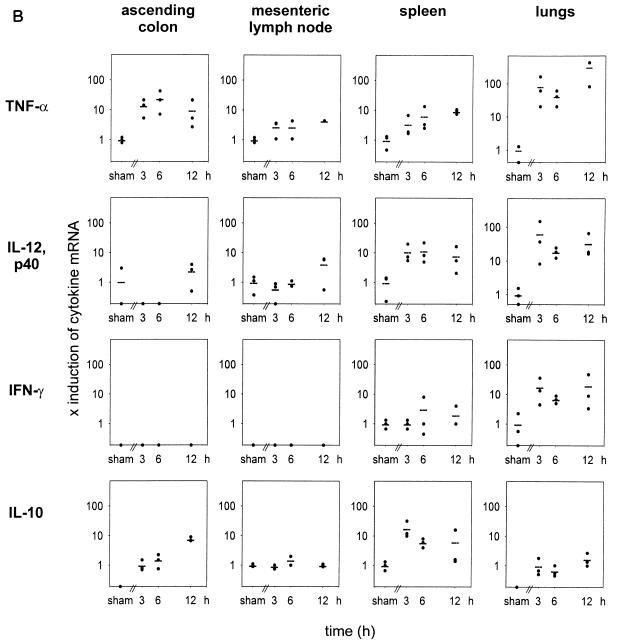 FIG. 7