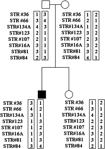 Fig. 1