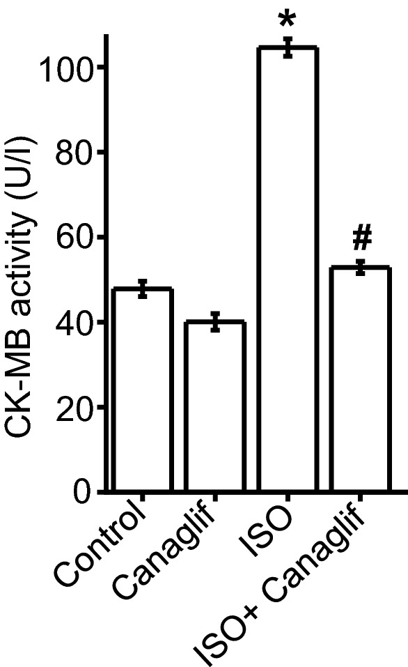 Figure 10