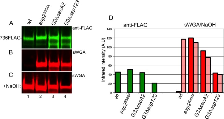 Fig 7