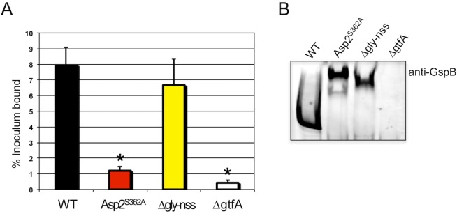 Fig 8