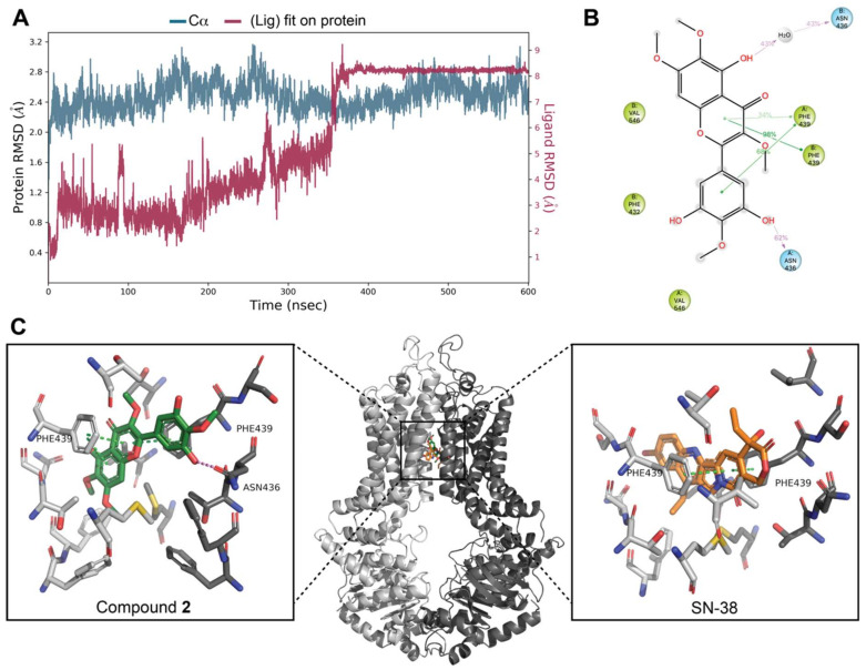 Figure 11